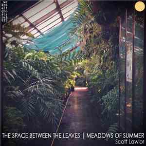 Scott Lawlor - The Space Between The Leaves | Meadows Of Summer