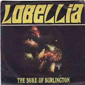 The Duke Of Burlington - Lobellia