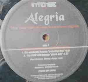 Alegria  - The Real Wild House / Barcelona Nights