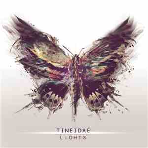 Tineidae - Lights
