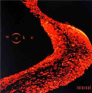 Wake  - Internal