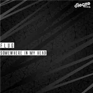 Flug - Somewhere In My Head LP