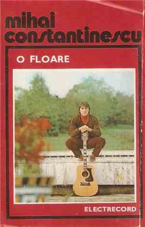 Mihai Constantinescu - O Floare