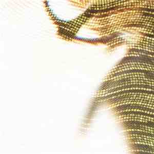 P. Morris - Excerpts