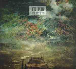 'אביב גדג - שרף אורנים