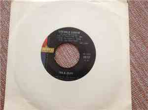 Jan & Dean - Sidewalk Surfin'