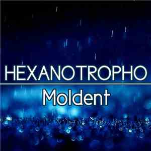 Moldent - Hexanotropho