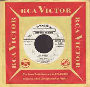 Spike Jones And His City Slickers - Hi Mister! / This Song Is For The Birds