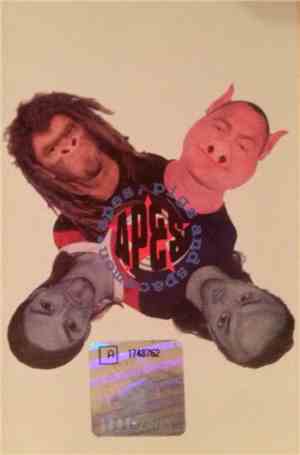 Apes, Pigs And Spacemen - Transfusion