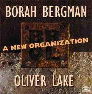 Borah Bergman / Oliver Lake - A New Organization