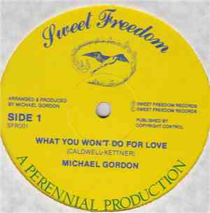 Michael Gordon - What You Won't Do For Love