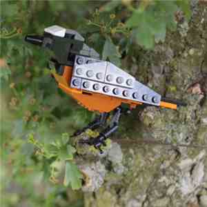 Woebot - Bird Mix