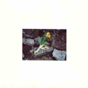 Organum - Raw