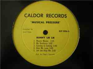Bunny Lie lie - Musical Pressure