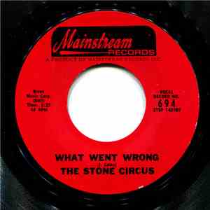 The Stone Circus - Mr. Grey / What Went Wrong