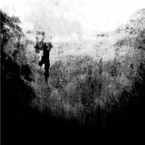tR6y - .Reflection.