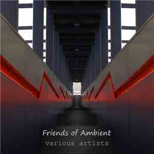 Various - Friends Of Ambient 17