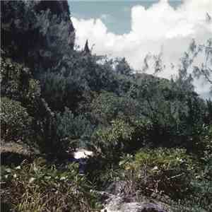 Celer - Alcoves