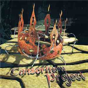 Ian Parry 's Consortium Project - Ian Parry's Consortium Project