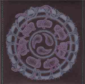 Evan Marc + Steve Hillage - Dreamtime Submersible