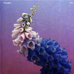 Flume - Skin