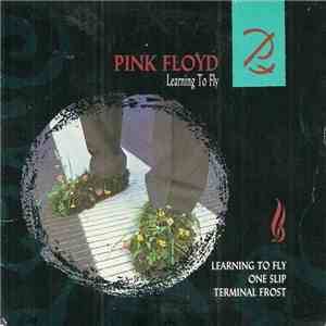 Pink Floyd - Learning To Fly