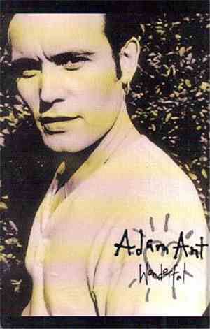 Adam Ant - Wonderful