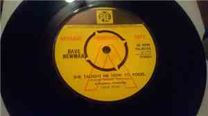 Dave Newman  - She Taught Me How To Yodel