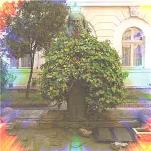 Selvhenter  - Frk. B. Fricka