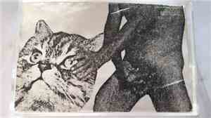 Debt Of Nature - Never Show Your Genitals To An Animal / Pets Have Fears To ...