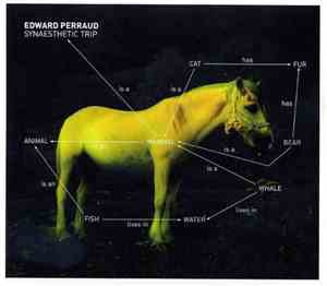 Edward Perraud - Synaesthetic Trip