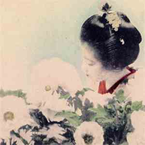 Secede - Silent Flower Observers
