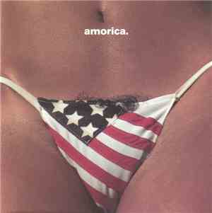 The Black Crowes - Amorica.