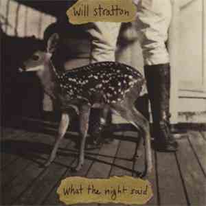 Will Stratton - What The Night Said