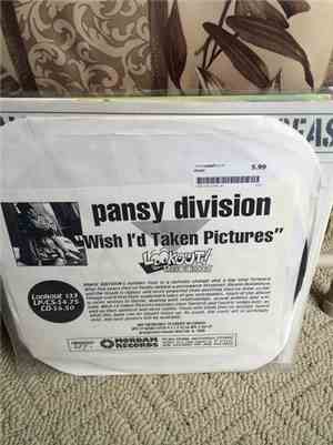 Pansy Division - Wish I'd Taken Pictures