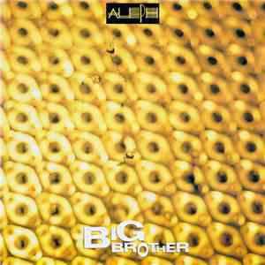 Aleph - Big Brother / I'm In Danger