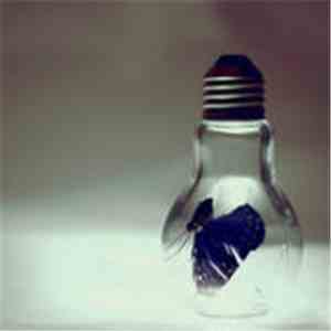 Blue Butterfly - Poison Planet
