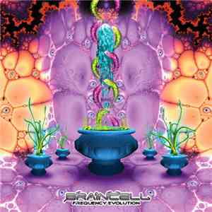 Braincell  - Frequency Evolution