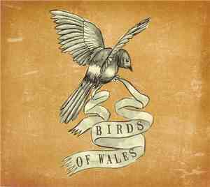 Birds Of Wales - Fall Of The 49
