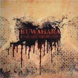 Kuwahara - Kandyheartafghan