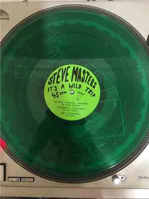Steve Masters - It's A Wild Trip