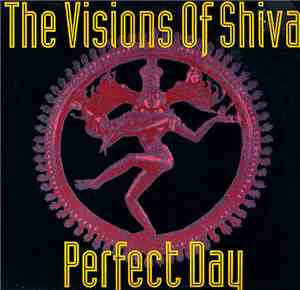 The Visions Of Shiva - Perfect Day