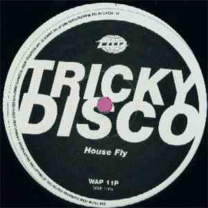 Tricky Disco - House Fly