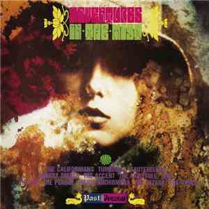 Various - Adventures In The Mist (Rubble 11)