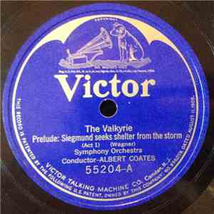 Tudor Davies - Symphony Orchestra - The Valkyrie