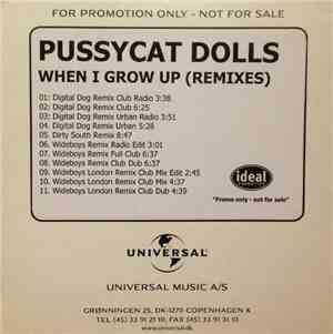 Pussycat Dolls - When I Grow Up (Remixes)