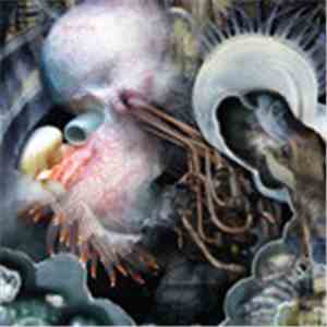 At Jennie Richie / irr. app. (ext.) - Unknown Invertebrate Drama