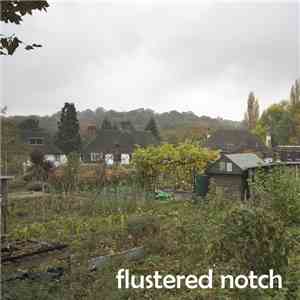AYE-AMS - Flustered Notch