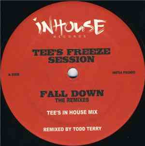 Tee's Freeze Session - Fall Down (The Remixes)