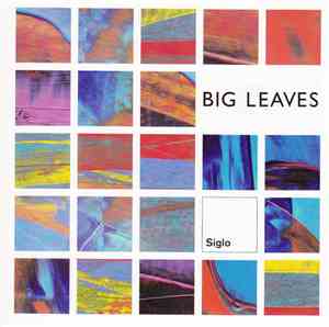 Big Leaves - Siglo